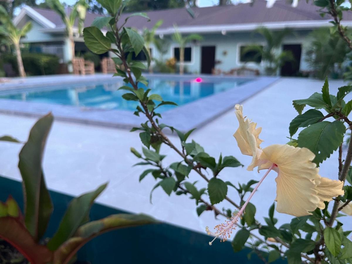 Vailtin Home Point Moalboal Ngoại thất bức ảnh